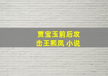 贾宝玉前后攻击王熙凤 小说